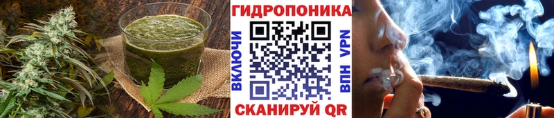 ОМГ ОМГ сайт  где продают наркотики  Николаевск-на-Амуре  Cannafood марихуана 