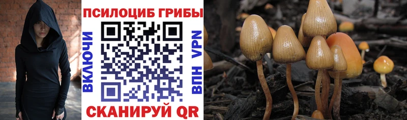 Галлюциногенные грибы Magic Shrooms  Николаевск-на-Амуре 